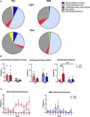 Hypothalamic Gene Expression and Postpartum Behavior in a Genetic Rat Model of Depression